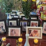 Pet cremation ceremonies