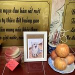 Viet Anh Qua Chanh's Baby Cao